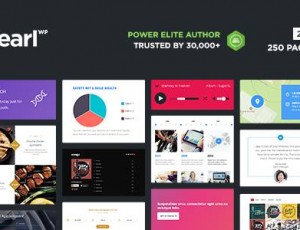 pearlWP v3.3.0 – WordPress主题