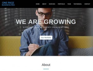 One Page Business Pro v1.3 – 一页WordPress主题
