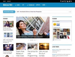 magazine v1.9.2 一个真正的拖放生成器的杂志布局主题