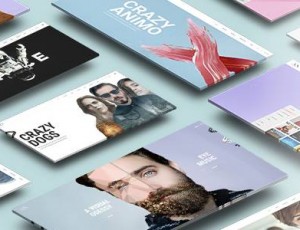 Animo v1.3 – 创意和干净的多用途WordPress主题