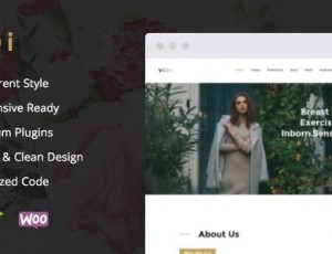 ViDi v1.1.2 – 多用途企业WordPress主题