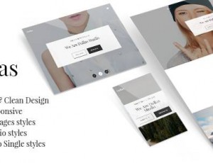 dallas v1.4.2 – 最小的投资组合和业务主题