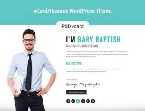 Raptish v1.2 – 高级电子名片/简历WordPress主题