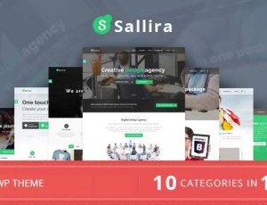 Sallira v1.0 -多用途启动商业WordPress主题