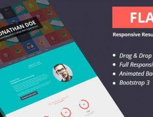 Flatoo v4.0 – vCard，简历，个人WordPress主题