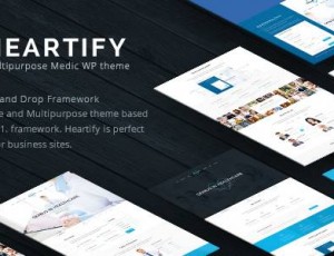 Heartify v1.1 -医疗健康和诊所的WordPress主题