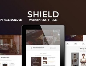 Shield v1.0 – 创造性的响应式多概念WordPress主题