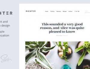 Richter v1.0.5 -创意WordPress博客主题
