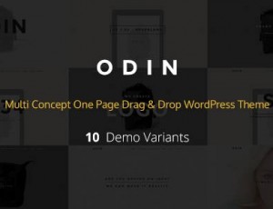 ODIN v1.1.3 -多概念/单页WordPress主题