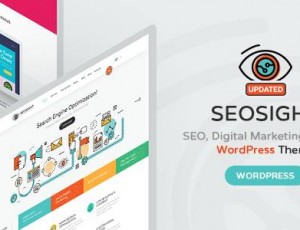 Seosight v5.7 -SEO，数字营销机构WP主题与商店