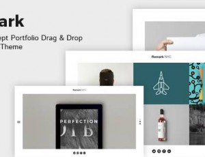 REMARK v1.2 – 多概念组合和机构主题