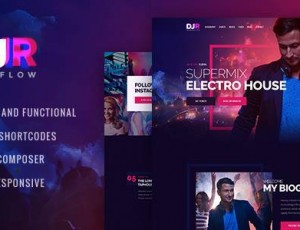 DJ Rainflow v1.0 – 音乐乐队和音乐家WP主题