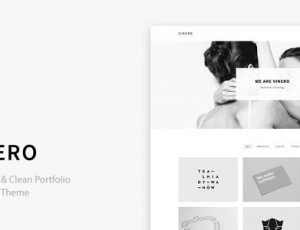 Vinero v3.0.1 -非常干净和最小组合WordPress主题