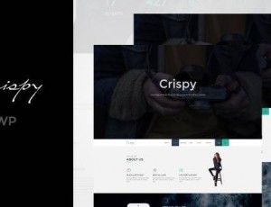 Crispy v1.1.3 – 一个和多个页面WP主题