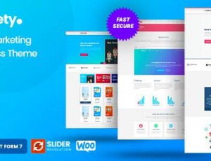 Markety v1.7 – SEO和数字营销WordPress主题