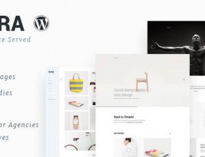 kora v2.0 – 投资组合，机构的WordPress主题