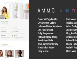 ammo v1.6 – 企业多功能WordPress主题