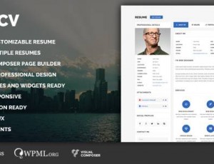 Moticv v1.0.1 – vCard和简历生成WordPress主题