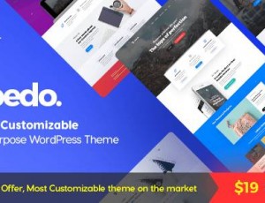 Albedo v1.0.33- 高度可定制的多用途WordPress主题