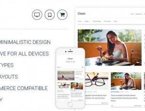 clean v1.1.1 – 简约WordPress主题为专业博客