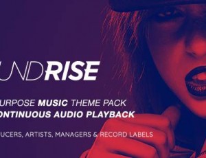 SoundRise v1.4.10 – 艺术家，制作人和唱片公司WordPress主题