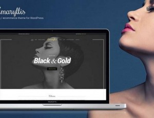 Amaryllis v1.8 – WordPress主题