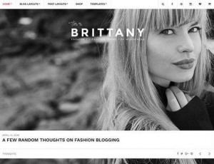 brittany v1.5 – 博客和商店WordPress主题