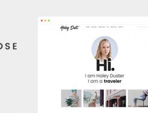 Impose Blog v1.1.4 – 一个WordPress博客主题博客