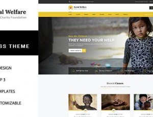 Social Welfare v1.2 – 慈善WordPress主题