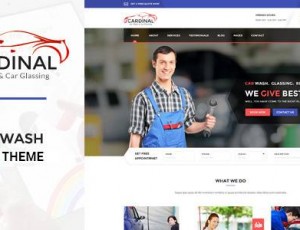 Car Dinal v1.4.6 – 洗车及工作坊WP主题