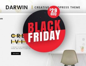 Darwin v3.0 – 创意WordPress主题