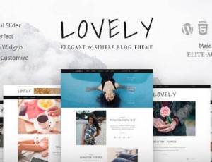 Lovely v1.0.8 – 优雅和简单的博客WordPress主题