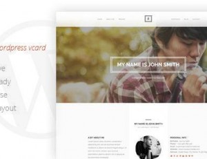 RIVAL v1.0 – 一个页面Vcard的WordPress主题