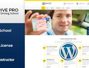 Drive Pro v1.2.1 – 驾校的WordPress主题