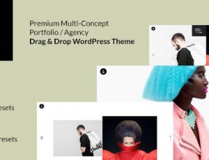 Aether v1.0 – 最小和愉快多概念投资组合/机构WordPress主题