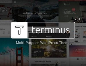 Terminus v1.4.4 – 响应式多用途WordPress主题