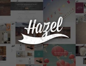 Hazel v3.9- 多概念创意WordPress主题