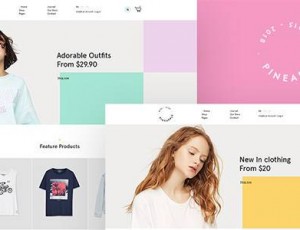 Pineapple v2.2.0 – 最小的WooCommerce WordPress主题