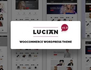 VG Lucian v1.2 – 响应式电子商务WordPress主题