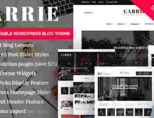 Carrie v2.0.1 – 个人及杂志WordPress的响应干净的博客主题