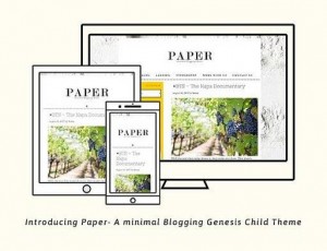 paper v1.0 – 最小的创世纪博客WordPress主题