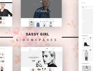 VG Sassy Girl v1.3 – 响应WooCommerce主题