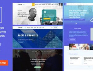 capital v2.2 – 多用途商业WordPress主题