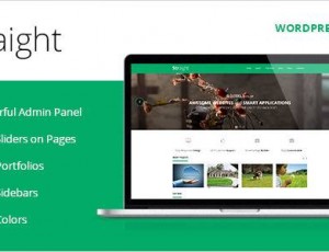 Straight v1.3.1 – 多用途的WordPress主题