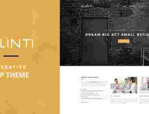 Alinti v1.1 – 最小的创意WordPress组合主题