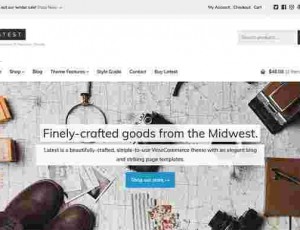 latest v1.0.7 – 电子商务和杂志WordPress主题