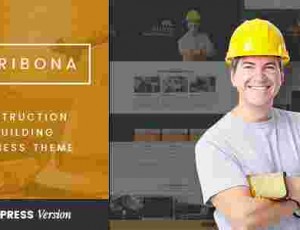 VG Ribona v1.3 – WordPress主题建设