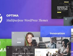 Optima v1.1.3 – 多用途的WordPress主题