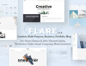 Flare v1.4 – 灵活的多用途WordPress主题