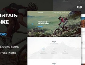 Mountain Bike v1.0 – 创意极限运动WordPress主题